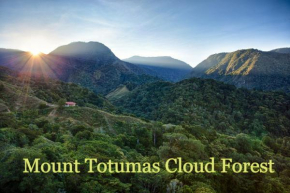 Mount Totumas Cloud Forest